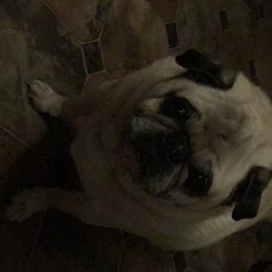 Meet your Posher, Sherry lee